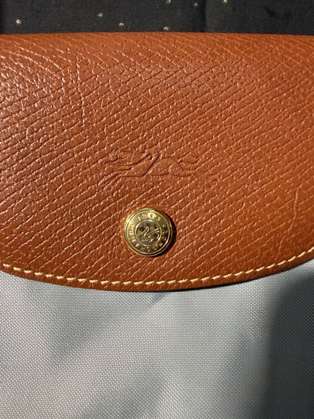 Longchamp Light Blue Tote with Brown Leather Trim - Picture 3 of 13